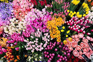 传《GTA6》将引入高级环境破坏和高度可互动的建筑